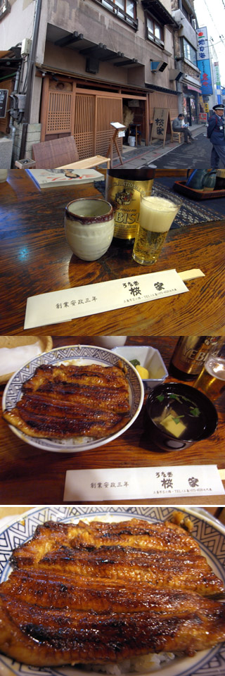 ±·Ð§¡÷ºù²È