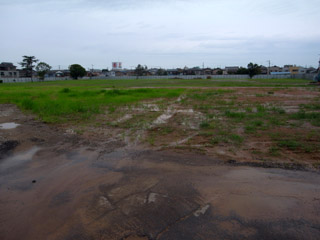 ¹â¹»¹»¼ËÀ×