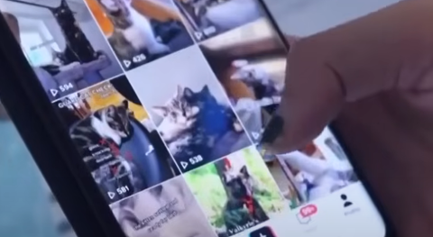 スクリーンショット 2025-07-16 093756