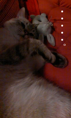 あぁ、トマコの生きる道【4コマ漫画】