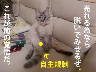 あぁ、トマコの生きる道【4コマ漫画】