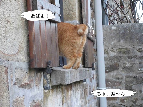 ハートブレイク 9