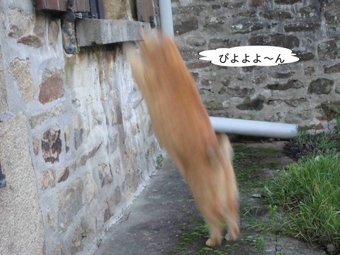 ハートブレイク 8