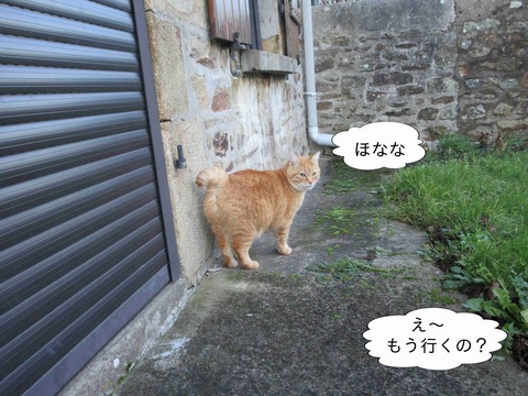 ハートブレイク 7