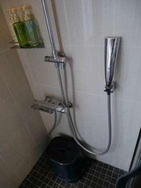 P1000500 (Custom) (Custom)