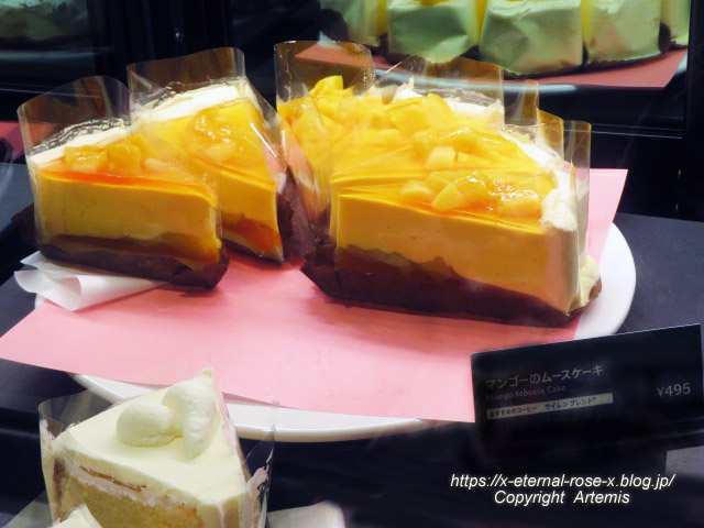 22.8.11.1 スターバックス コーヒー 岡山天満屋店 (6)