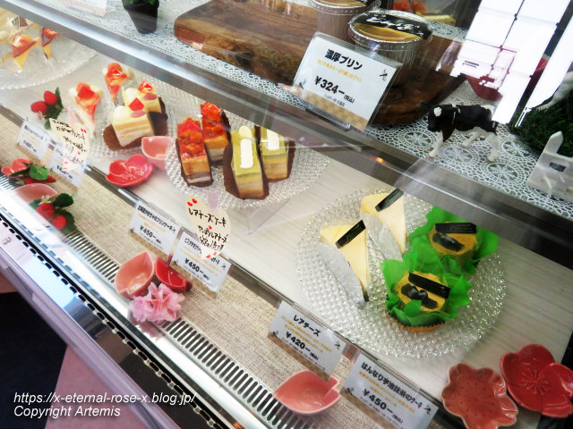 23.3.2.1 甘味とんぼ (22)