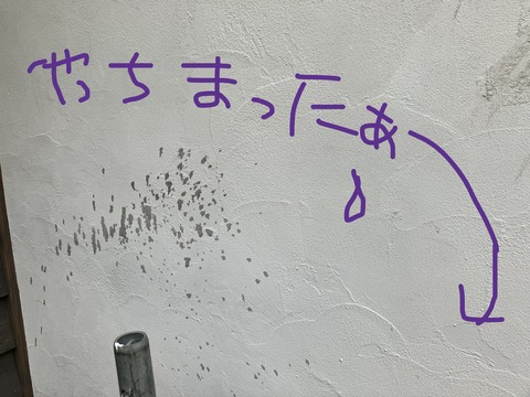 IやっちまったーMG_4933