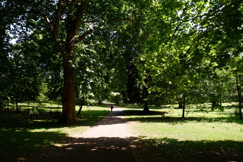 88AEE3C4-3933-4BC7-83BC-6B4E6D8A9CC4_1_105_c