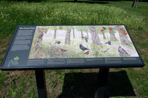 07A79DA2-CA03-4772-89A1-28CC5CE055EA_1_105_c