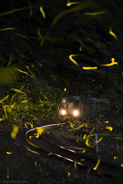 hotaru-densha-hime.jpg ヒメボタル 電車