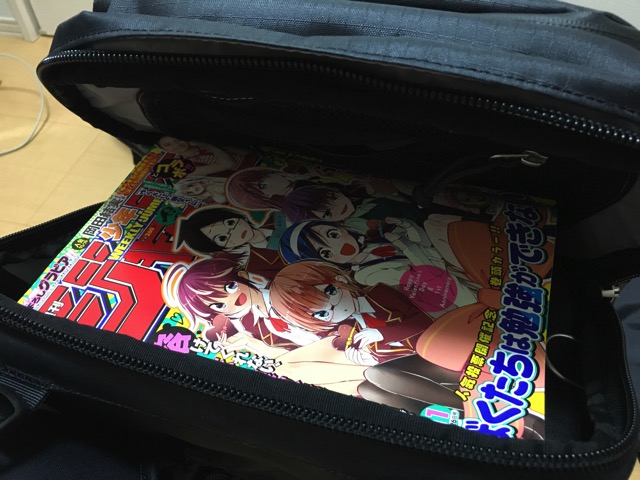 PRO ICU LARGE-jamp.JPG PRO ICU LARGE 上の部分