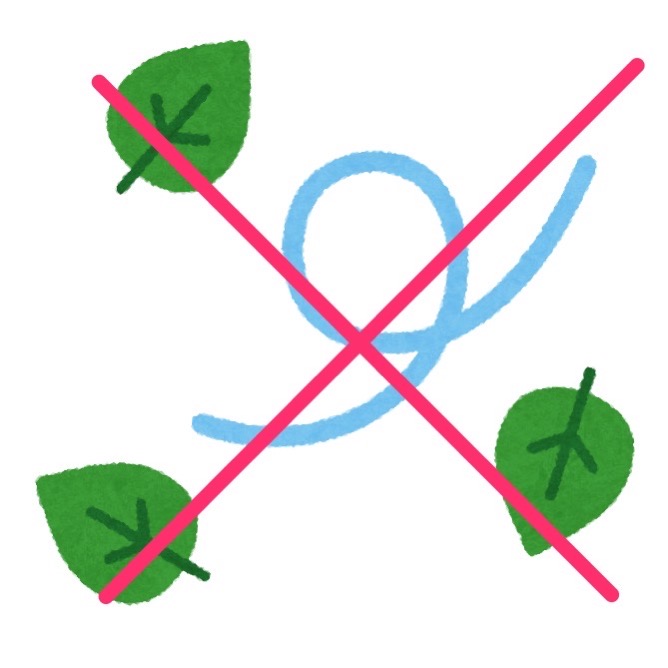 風が弱い.jpg 風が弱い