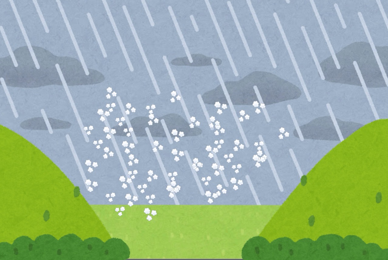 雨が降って湿度が高くなる.jpg 雨が降って湿度が高くなる