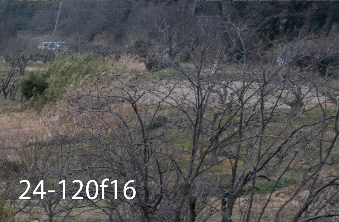 220202 70-120mm-038_NEF___128___RGB_16____.jpg 220202 70 120mm 038 NEF 128 RGB 16