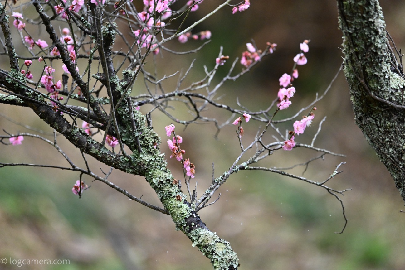 2302230804-2.jpg 2302230804 2