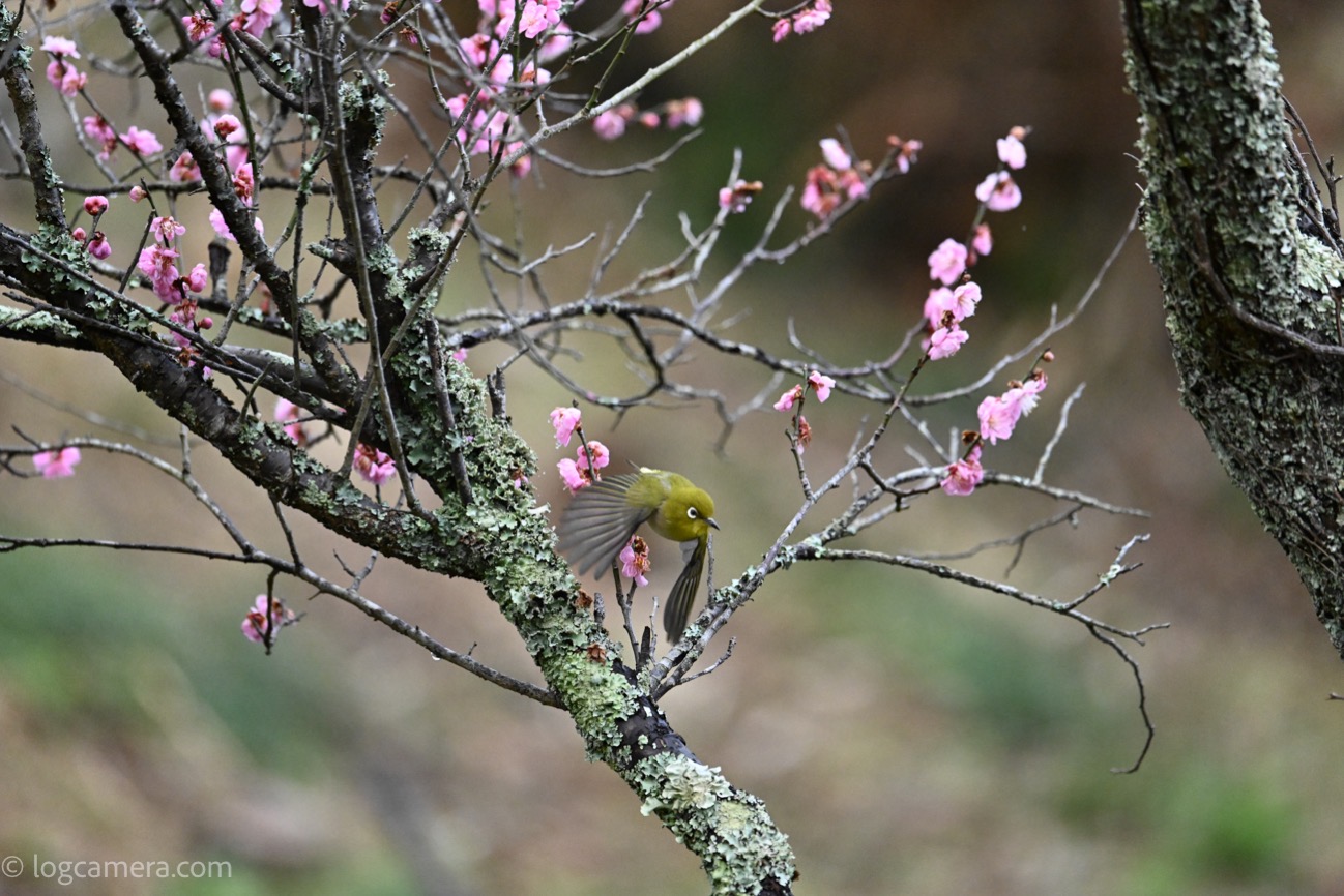 2302230804-35.jpg 2302230804 35