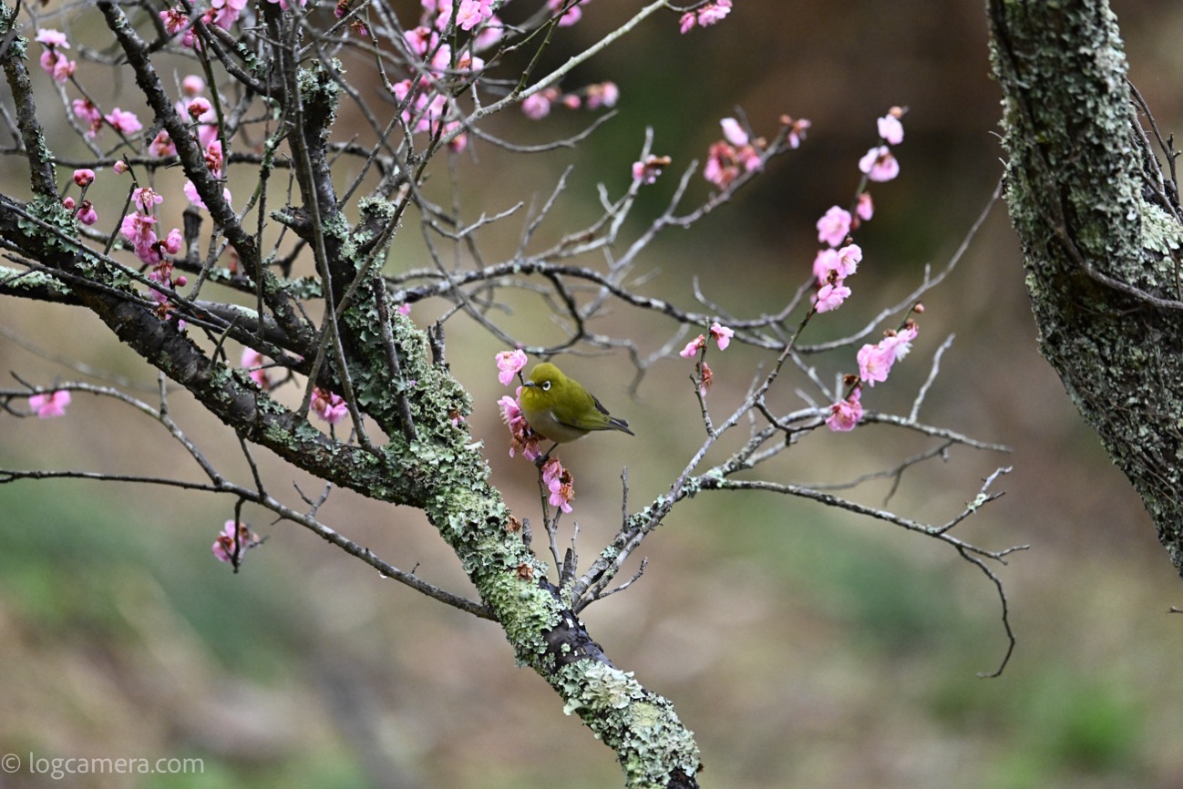 2302230804.jpg 2302230804