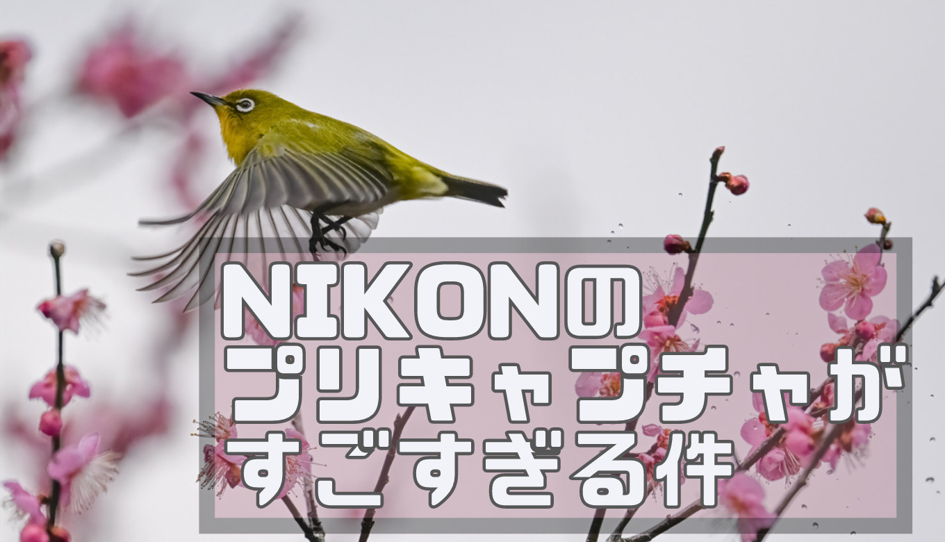 pricap_logo.png キャンプ サバイバル のヒント