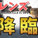 NIKKOR Z 400mm f/2.8 TC VR S 徹底レビュー!内蔵テレコン付き超望遠の実力は?