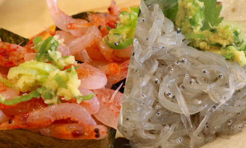 静岡駅「沼津魚がし鮨 流れ鮨」で桜海老&生シラスをいただく