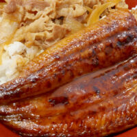 「すき家」でうな牛を食べたけど、うなぎもタレもあの全国チェーン店の方が美味しかった