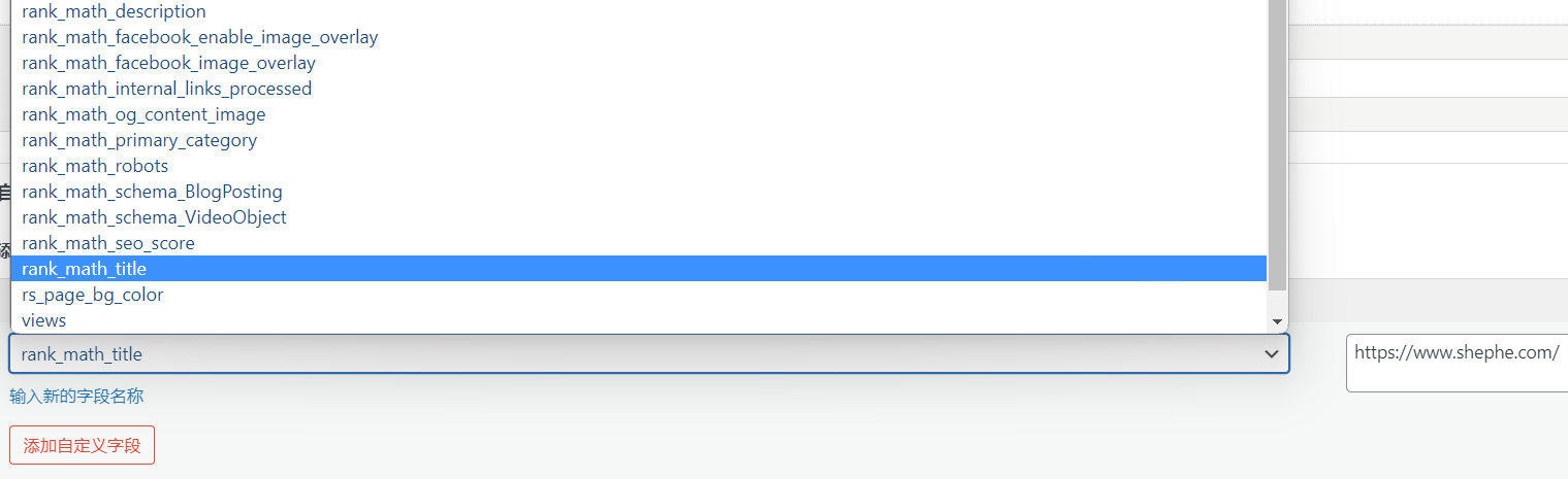 删除无效的 WordPress 自定义字段