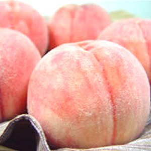 山梨県産 桃 5玉入り センサーで糖度を測定しをクリアしたプレミアムピーチ、大糖領! 日川白鳳、白鳳、加納岩白桃、浅間白桃、なつっこ、一宮白桃、川中島白桃と移り変わる桃源郷の軌跡 山梨県産 桃 5玉入り センサーで糖度を測定しをクリアしたプレミアムピーチ、大糖領! 日川白鳳、白鳳、加納岩白桃、浅間白桃、なつっこ、一宮白桃、川中島白桃と移り変わる桃源郷の軌跡