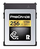 ProGrade Digital (プログレードデジタル) 【CFexpress Type B】 GOLD 1700R 正規輸入品 (256GB)