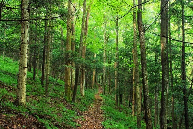 Bagging and Random Forest Ensemble Algorithms for Machine Learning Bagging and Random Forest Ensemble Algorithms for Machine Learning