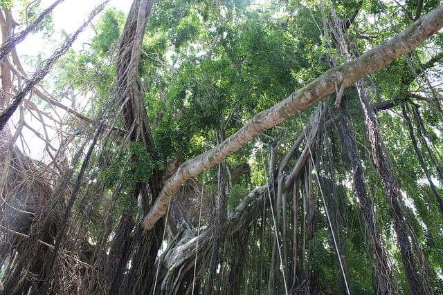 Boosting and AdaBoost for Machine Learning Boosting and AdaBoost for Machine Learning