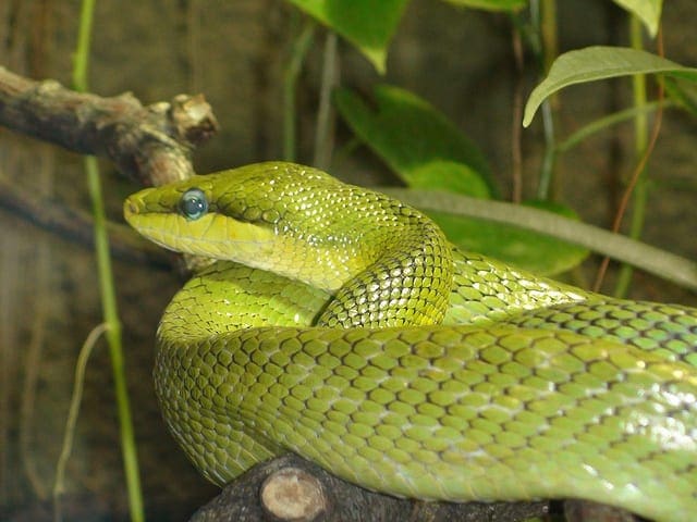 Crash Course in Python for Machine Learning Developers Crash Course in Python for Machine Learning Developers