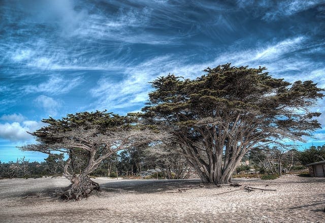 A Gentle Introduction to the Gradient Boosting Algorithm for Machine Learning A Gentle Introduction to the Gradient Boosting Algorithm for Machine Learning