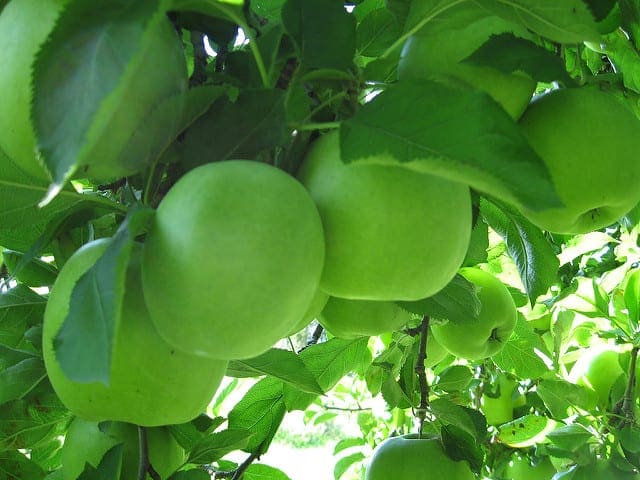 How to Use Ensemble Machine Learning Algorithms in Weka How to Use Ensemble Machine Learning Algorithms in Weka