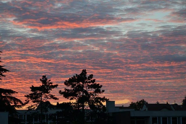 Time Series Prediction with LSTM Recurrent Neural Networks in Python with Keras Time Series Prediction with LSTM Recurrent Neural Networks in Python with Keras