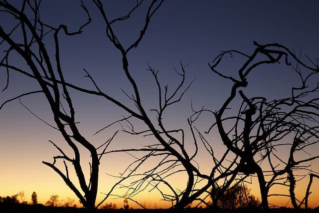 How to Visualize a Deep Learning Neural Network Model in Keras How to Visualize a Deep Learning Neural Network Model in Keras