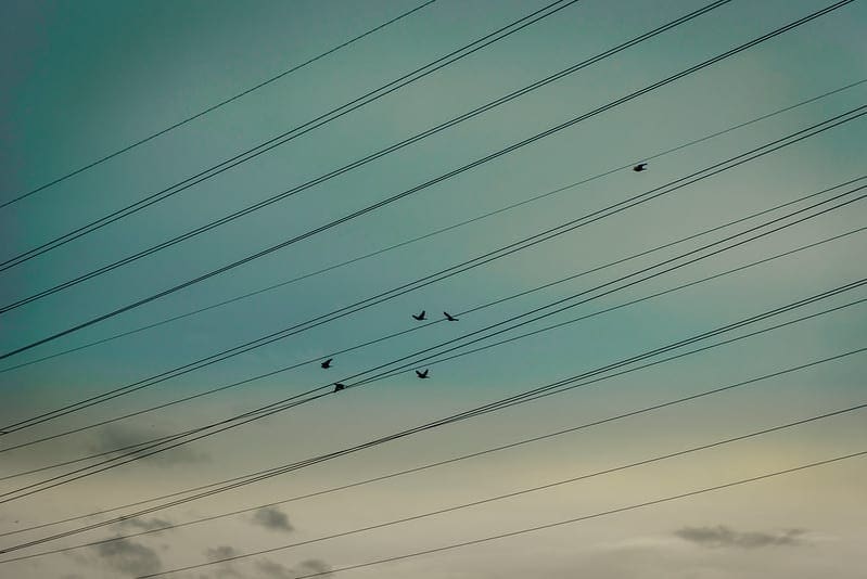 Line Search Optimization With Python