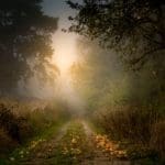 Using Kaggle in Machine Learning Projects stefan-widua-kOuaZs7jDZE-unsplash