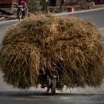 How to Save and Load Your Keras Deep Learning Model ray-harrington-SZLzXxbCTD0-unsplash