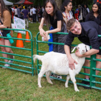 First year student petting a goat smiling.