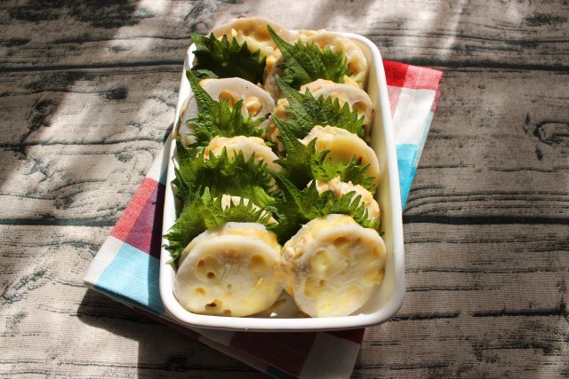 レンジで簡単お弁当おかず常備菜。れんこんチーズナゲット 1 レンジで簡単お弁当おかず常備菜。れんこんチーズナゲット IMG 1355 レンジで簡単お弁当おかず常備菜。れんこんチーズナゲット