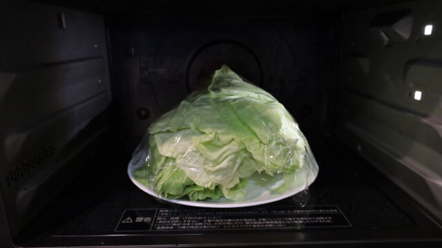 忘れられない母の味。じっくり煮込んだこだわりのロールキャベツのレシピ 5 忘れられない母の味。じっくり煮込んだこだわりのロールキャベツのレシピ IMG 9716 忘れられない母の味。じっくり煮込んだこだわりのロールキャベツのレシピ