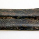 マンモストップ絵