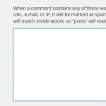 First Time Blogging WordPress Security