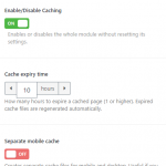 WordPress Speed Booster Pack Caching