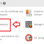 Install Lets Encrypt In A VPS Server Using WHM