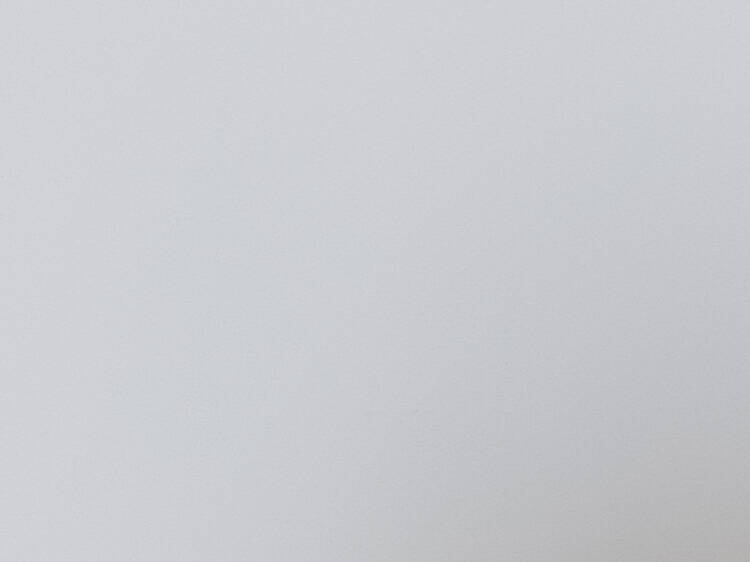 Virginia Gil Virginia Gil