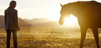 The Madison Series Teaser