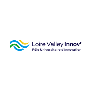 logo lvi