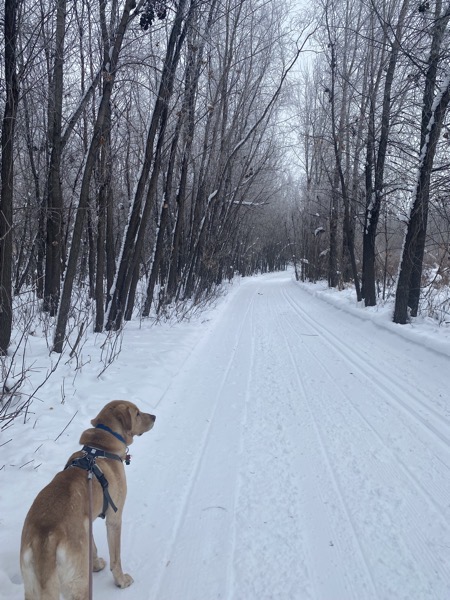 IMG_8378.jpeg IMG 8378